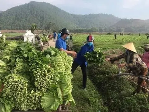 Nghệ An: Xử lý nghiêm cơ sở có hành vi găm hàng, tăng giá quá mức