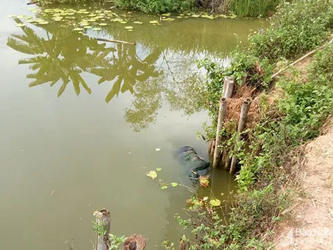 Nghệ An: Đi chăn trâu phát hiện thi thể người phụ nữ nổi trên mép đập