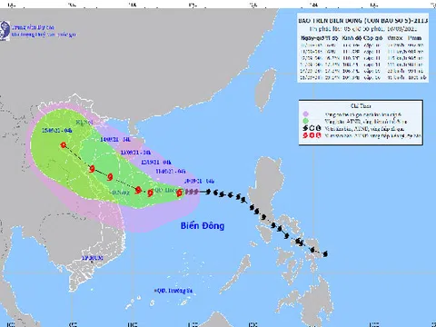 Bão số 5 cách quần đảo Hoàng Sa khoảng 220km, gió giật cấp 12