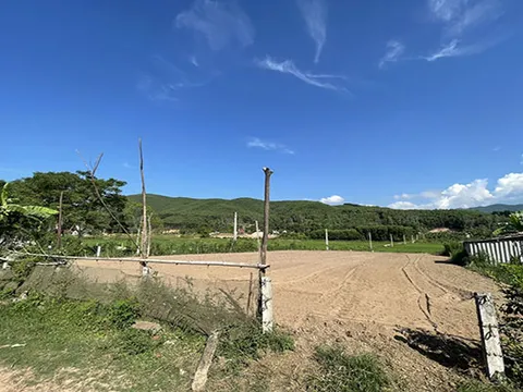 Nghệ An: Kết luận xử lý vụ quan thôn tự ý bán đất của huyện Tân Kỳ