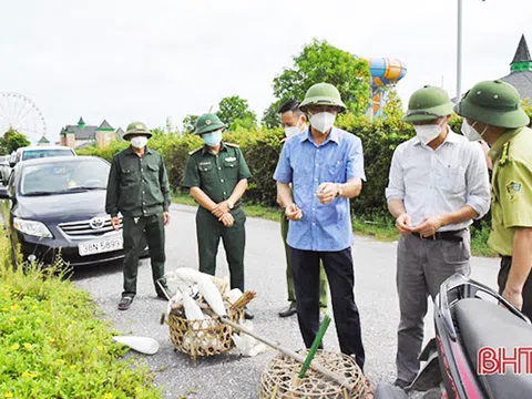 Yêu cầu các địa phương ở Hà Tĩnh ngăn chặn triệt để tình trạng đánh bắt, mua bán chim tự nhiên