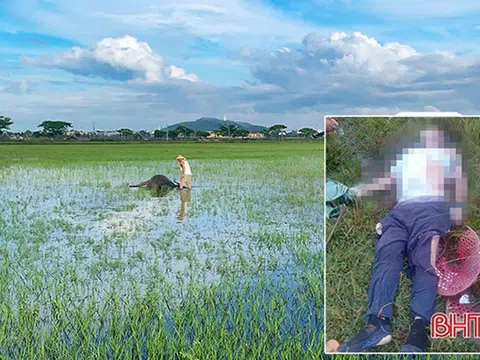 Hà Tĩnh: Người đàn ông tử vong khi đi chăn trâu nghi bị sét đánh