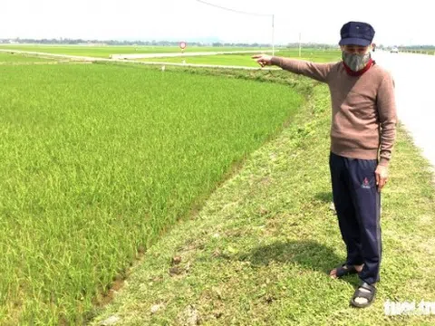 Vụ đất nông nghiệp giá ''cao ngất ngưởng'': Chưa xong hạ tầng đã đấu giá