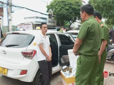 Liều lĩnh 'hóa trang' 3kg cần sa thành trà atiso đỏ gửi qua bưu điện