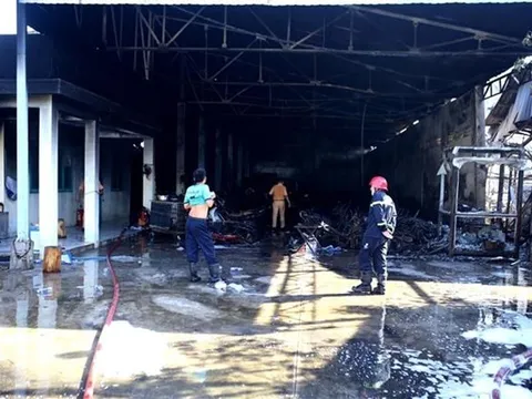 TP.HCM: Lửa thiêu rụi nhà kho chứa xe vi phạm giao thông 1.100m2