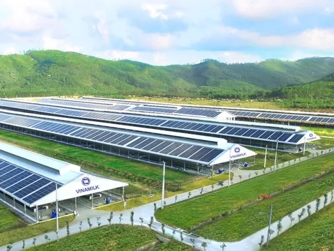 Vinamilk: Biên lãi gộp sẽ cải thiện trong 6 tháng cuối năm nhưng khó đạt kế hoạch lãi 9,7 nghìn tỷ