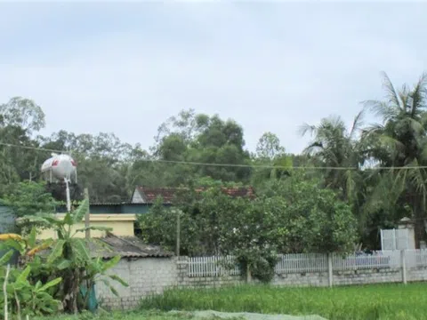 UBND huyện Diễn Châu: Cố tình không xử lý sai phạm liên quan đến đất đai ở xã Diễn Lâm