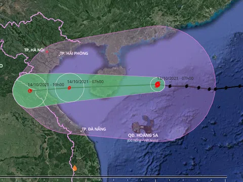 Bão số 8 giật cấp 14 đang cách quần đảo Hoàng Sa 260 km