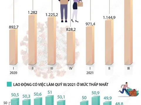 Đại dịch Covid-19 khiến hơn 28 triệu lao động bị ảnh hưởng tiêu cực