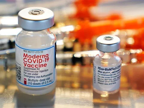 Mỹ cho phép tiêm trộn mũi vaccine COVID-19 tăng cường