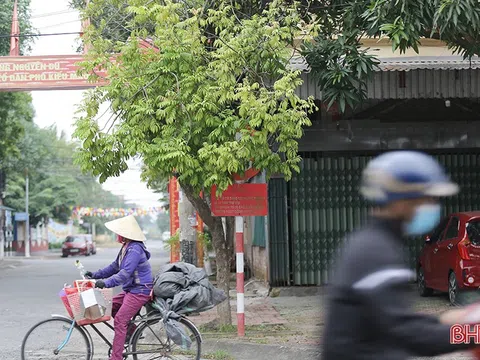 Nhiều biển báo giao thông ở TP Hà Tĩnh bị che khuất, “làm khó” người đi đường