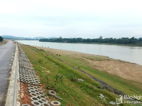 Vì sao chính quyền xã Đại Đồng bị kiểm điểm trách nhiệm?