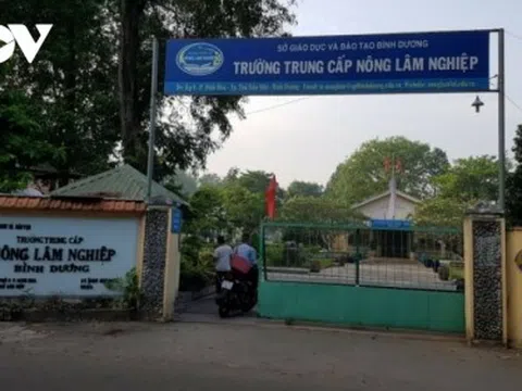 Kỷ luật hiệu trưởng, phó hiệu trưởng trường nghề ở Bình Dương