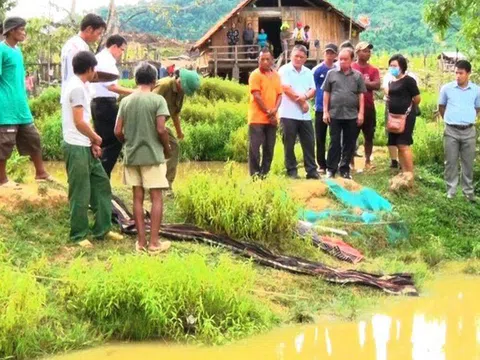 Nghệ An: Nữ sinh mất tích bí ẩn: 2 ngày sau người dân tá hỏa phát hiện thi thể dưới ao cá gần nhà