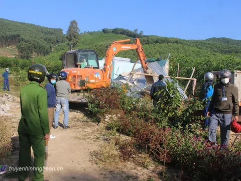 Yên Thành cưỡng chế công trình xây dựng trái phép trên đất rừng sản xuất