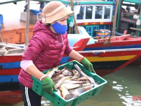 Vượt khó vươn khơi, ngư dân Hà Tĩnh chờ “tết ấm”