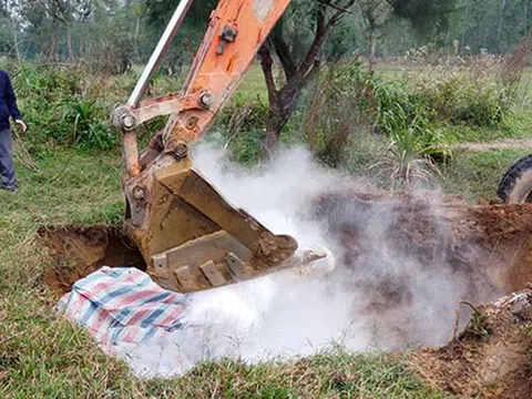 Hà Tĩnh: Xuất hiện dịch tả lợn châu Phi, Nghi Xuân khẩn trương khoanh vùng để khống chế