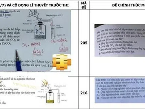 Hà Tĩnh: Bộ cần trả lời dứt khoát, có hay không “sự cố” lộ lọt đề thi tốt nghiệp Sinh học