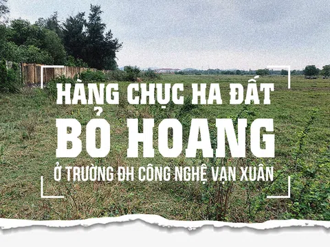 Nghệ An: Hàng chục ha đất bỏ hoang ở Trường Đại học Công nghệ Vạn Xuân