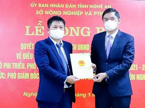 Điều động, bổ nhiệm nhân sự 2 tỉnh