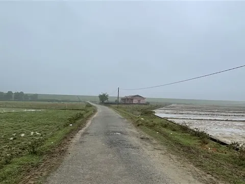 Hà Tĩnh: Dân "ngập nước mắt" vì đất nông nghiệp bị sình lầy