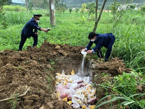 Nghệ An: Vi phạm quy định vệ sinh an toàn thực phẩm bị phạt hơn 3 tỷ đồng