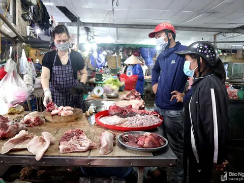 Cận Tết, giá lợn hơi tại Nghệ An trên đà tăng