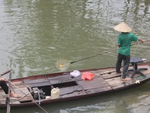 Thành phố Vinh: Cá chép ông Công ông Táo vừa thả, người chích điện đã chờ sẵn