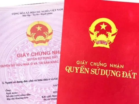 Xin tiền mua đất ảo, "dâu thảo" lừa đảo bố mẹ chồng