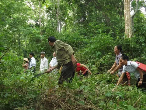 Nghệ An: Thu hồi hơn 7.000 ha đất của nông, lâm trường giao địa phương quản lý