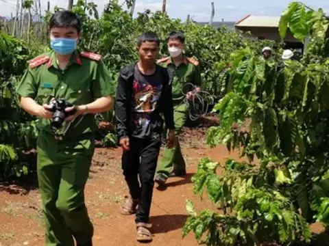 Bắt giữ kẻ giết, hiếp dâm người phụ nữ đang tưới cà phê rồi giấu xác xuống giếng