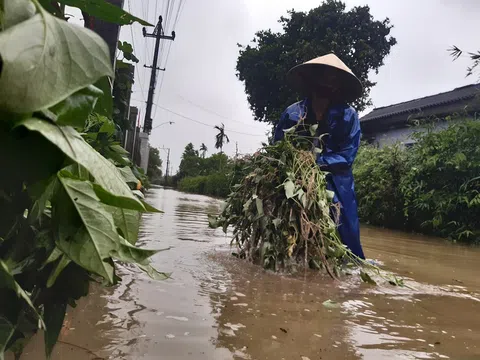 Người dân miền Trung nói gì về trận lũ bất thường?