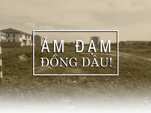 Ảm đạm Đồng Dâu!