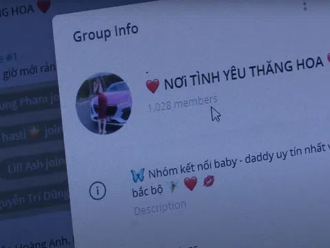 Khởi tố "tú ông" môi giới sugar baby - sugar daddy với giá tới 20 triệu đồng/tháng