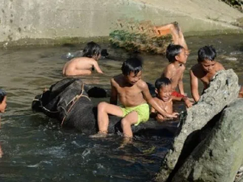 Nghệ An tăng cường công tác phòng, chống tai nạn thương tích, phòng chống đuối nước trẻ em