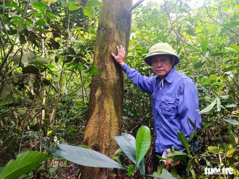 Hà Tĩnh: 15ha đất rừng bỗng dưng về tay chủ khác dù dân vẫn cầm trong tay "sổ đỏ"