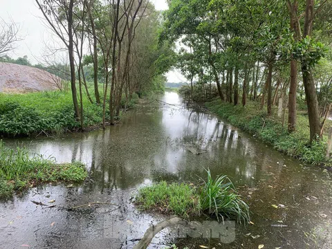 Nghi Xuân (Hà Tĩnh): Dân khốn khổ vì trại lợn gây ô nhiễm môi trường