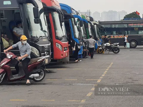 Giá xăng dầu tăng cao kỷ lục: Doanh nghiệp vận tải "gồng mình" chịu lỗ, tài xế taxi thi nhau bỏ việc