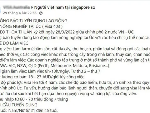 Nghệ An: Cảnh báo về việc lừa đảo chương trình lao động nông nghiệp tại Australia