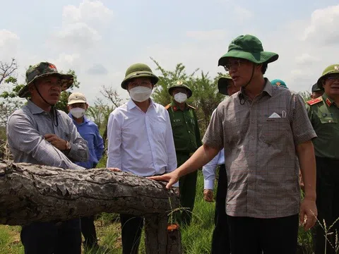 Vụ phá rừng lớn nhất tỉnh Đắk Lắk: Lãnh đạo xã tự nhận hình thức cách chức