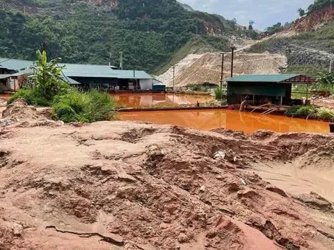 Nghệ An: Xử phạt Công ty CP Tân Hoàng Khang vi phạm lĩnh vực đất đai và bảo vệ môi trường