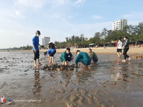 TX Cửa Lò: Ra quân thu gom rác khu vực bãi tắm hưởng ứng Tháng hành động vì môi trường