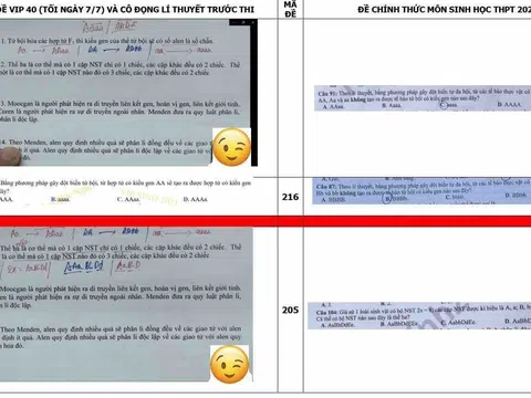 Vụ lộ đề thi môn Sinh: "Không làm ảnh hưởng kết quả chung của kỳ thi tốt nghiệp THPT 2021"