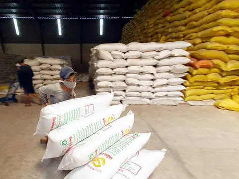 Có thật doanh nghiệp Anh tìm đến tận ruộng Việt Nam mua gạo nhưng không được?