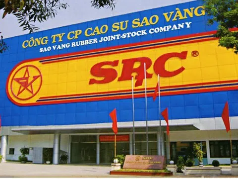 Cao su Sao vàng (SRC) bị xử phạt và truy thu thuế hơn 1 tỷ đồng