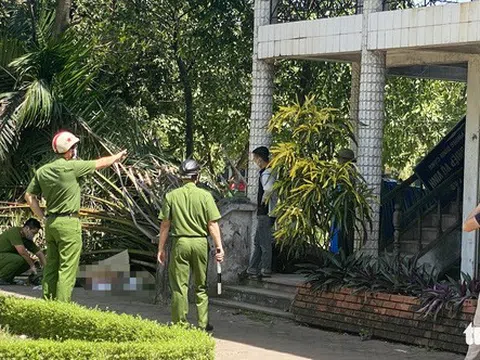 Thành phố Vinh: Cây trong công viên đổ bất ngờ giữa trưa nắng, đè cụ ông tử vong