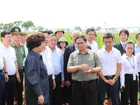 Thủ tướng Chính phủ Phạm Minh Chính thăm và làm việc tại Tập đoàn TH