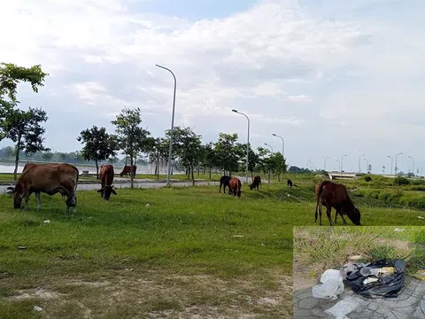 Thành phố Vinh: “Lá phổi xanh” chứa rác!