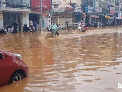 Đi tìm nghịch lý Đà Lạt thành "sông": Thiên tai có, nhưng "nhân tai" mới là nguyên nhân chủ chốt