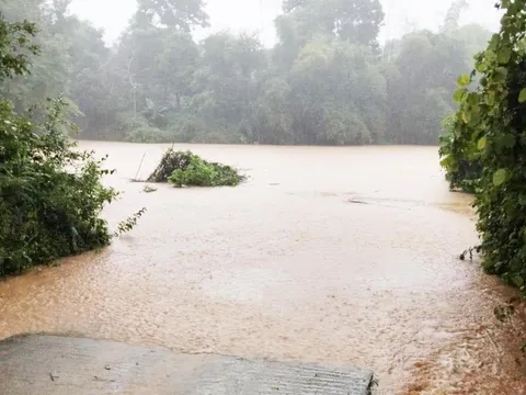 Nghệ An: 1 người mất tích, hàng trăm ha hoa màu thiệt hại do mưa lụt